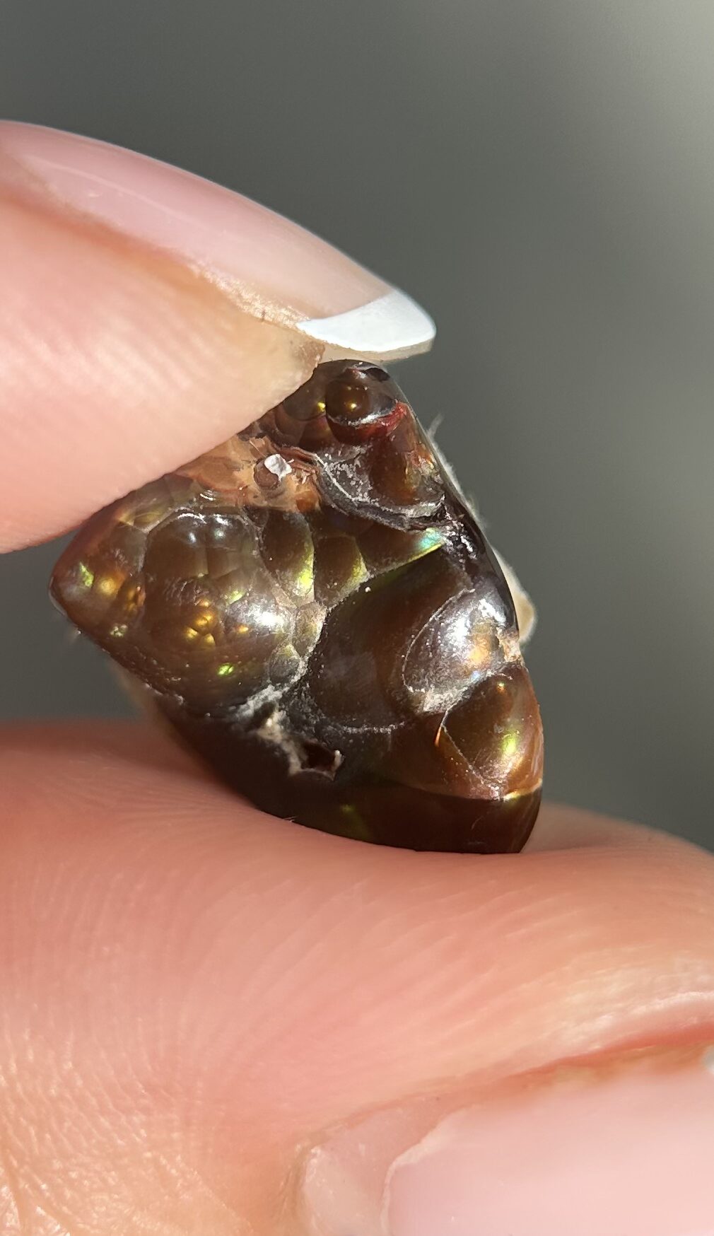 Fire Agate Mexico 5ct