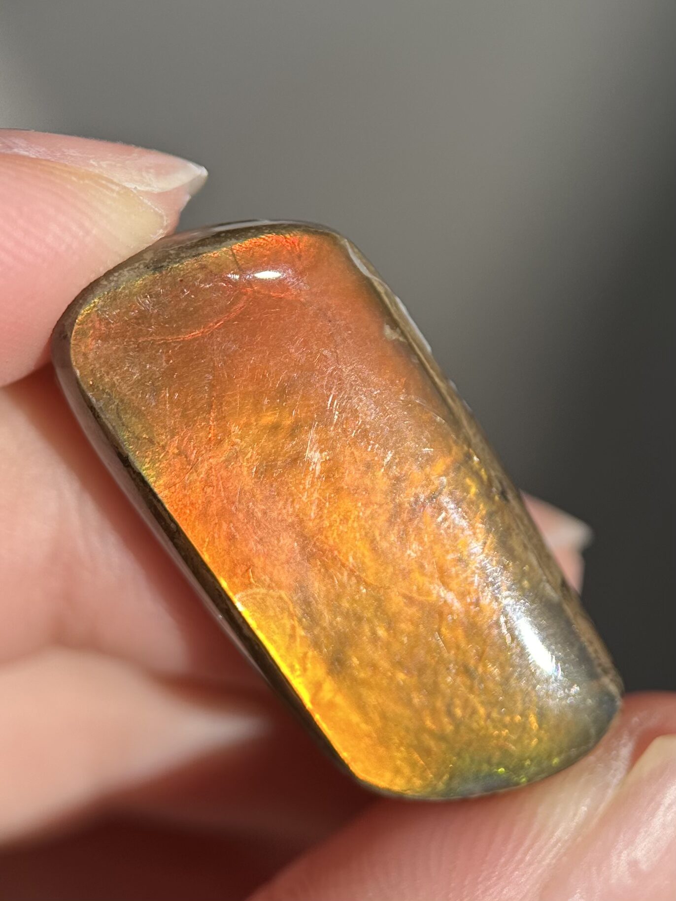Ammolite Canada ct