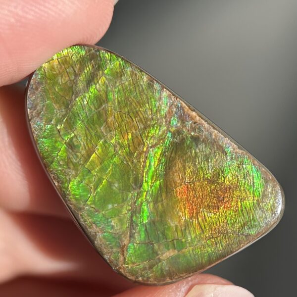 Ammolite Canada ct