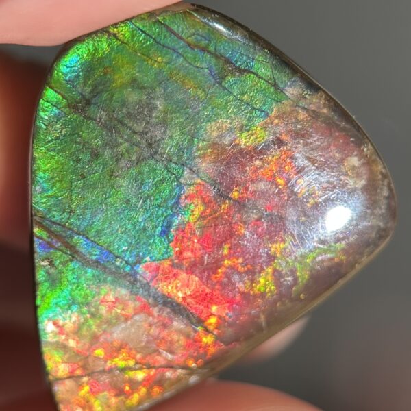Ammolite Canada ct